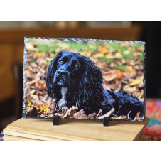 Photo Slate. 30x20cm Photo Slate. 30x20cm