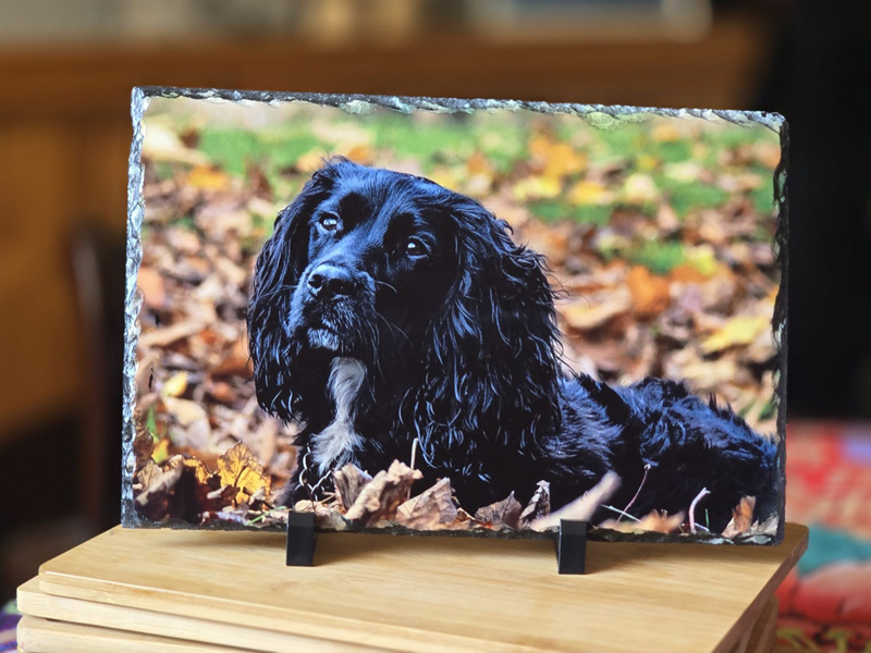 Photo Slate. 30x20cm Photo Slate. 30x20cm