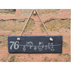Cat house number Cat house number