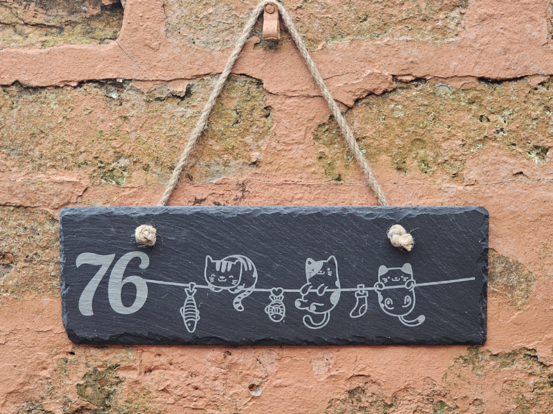 Cat house number